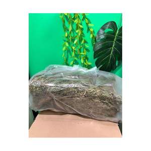 Mousse de forêt séchée pour le séchage-Accessoires de greffage d'orchidées, rétention d'humidité pour les orchidées Phalaenopsis de Blue Lotus Farm - Product Image 5