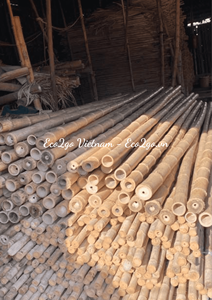 La Fábrica Produce Estacas de Bambú para Tomates, Soporte para Plantas de Jardín, Poste de Bambú Recto, Venta de Postes de Bambú Grandes - Product Image 5