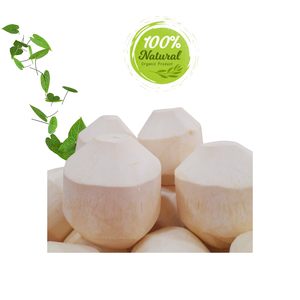 มะพร้าวปอกเปลือกเพชรทำให้สดชื่นรสชาติธรรมชาติผลิตภัณฑ์ทางการเกษตร - Product Image 3