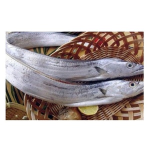 Poisson ruban frais congelé entier et rond, en vente - Product Image 5