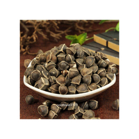 Biji Moringa dengan masa simpan yang lama dan kualitas yang konsisten