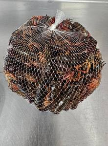 Crabe des sables congelé en gros (Emerita analoga) - Product Image 6