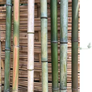Бамбуковые палочки для рукоделия, детали для колокольчиков, принадлежности для колокольчиков, деревянные палочки, тростниковые палочки, зеленый бамбук