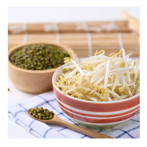 Germes de soja blanchis et congelés pour une utilisation toute l'année - Product Image 3