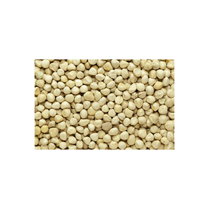 Graines de Moringa biologiques pour l'exportation en vrac et la vente en gros Produit agricole haut de gamme - Product Image 1