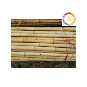 Postes de bambú duraderos de Vietnam: Uso multiusos para construcción, cercado, jardinería y manualidades - Product Image 1