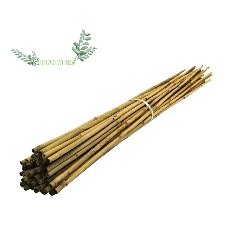 Produkt von Eco2go Plant Support Stakes Bambus aus natürlichen Bambus pfählen Akzeptieren Sie kunden spezifische Größen Günstiger Preis und nachhaltig