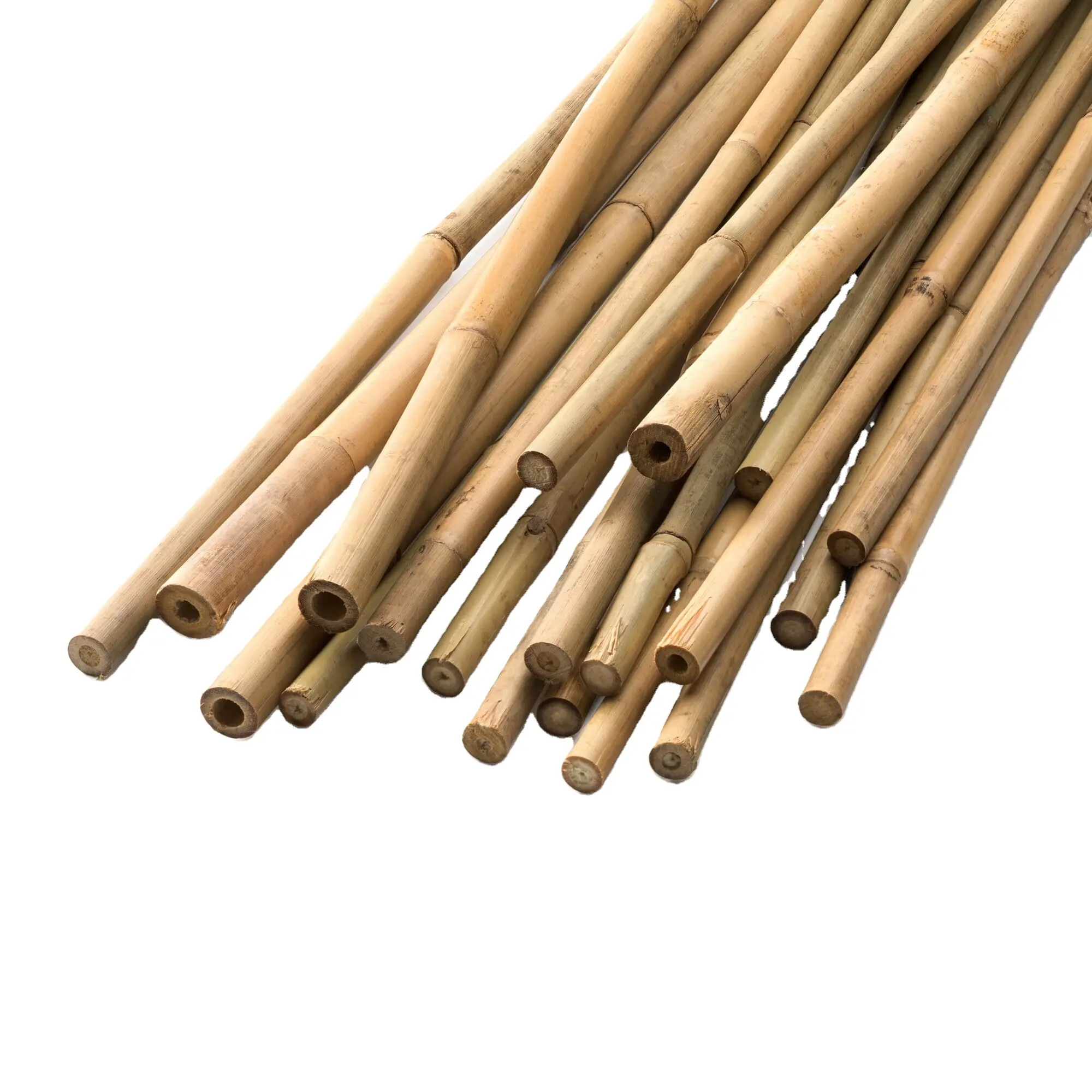 VIETNAMESE BEST PRICE 100% NATURAL BAMBOO CANES/ BAMBOO STICKS/ BAMBOO POLE SUPPORT PLANT AND GARDEN FROM ECO2GO VIET NAM