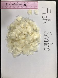 เครื่องชั่งปลาแห้งที่ไม่มีแคลเซียมและเกล็ดปลาแห้ง - Product Image 2