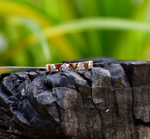 Bague en diamant authentique en or massif 14K et 18K de luxe Bijoux en diamant naturel élégants - Product Image 4