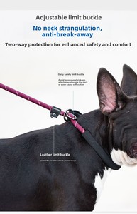 Correa para Perro Gruesa y Suave con <span class=keywords><strong>Collar</strong></span> para Perros Pequeños/Medianos/Grandes, Correa de Entrenamiento Antitirones 100% Nailon - Product Image 3