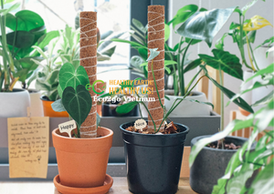 Poteau de mousse de noix de coco écologique de vente chaude pour la croissance des plantes utilisation de jardin biodégradable en gros de Eco2go Vietnam - Product Image 2