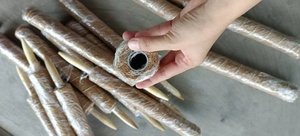 เสาใยมะพร้าวธรรมชาติ - ที่ค้ำยันสำหรับพืชเลื้อยได้ ทนทาน - Product Image 4