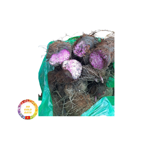 Igname douce violette vietnamienne de haute qualité cultivée naturellement fraîche et prête à l'exportation à des prix compétitifs - Product Image 6