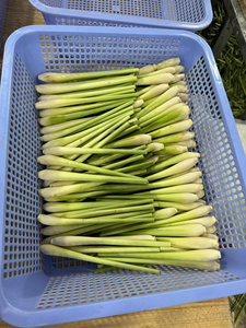 Direct Export of High-Quality Frozen Lemongrass Best Price and Top Service for Food Processing - Product Image 5