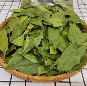 Hojas de Clausena indica (Mac Mat) para Productos Alimenticios Naturales y Herbales, Secado Tradicional y Liofilizado - Product Image 1