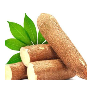 Rodajas de tapioca congeladas limpias-Rodajas de yuca congeladas-Chips de yuca-Yuca pelada de Vietnam para exportación y distribución - Product Image 6