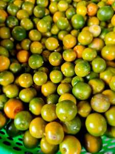 Casse-croûte exotique sain de Kumquat séché de qualité supérieure du Vietnam Offre Spéciale vente en gros à faible coût - Product Image 6