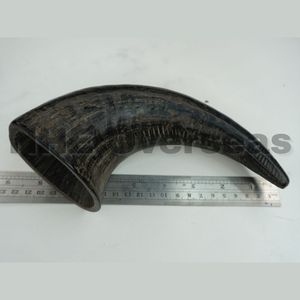 Des collations saines et naturelles pour des dents solides et une haleine fraîche - Product Image 2