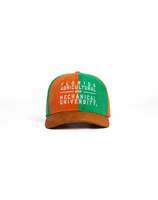 Casquettes de baseball personnalisées FAMU (Florida A&M University) pour le sport, imperméables, brodées à la main, 100 % toile de coton, OEM, 6 panneaux, quatre hauteurs