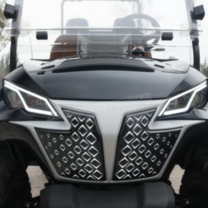 Voiturette <span class=keywords><strong>de</strong></span> golf électrique monoplace en métal avec personnalisation arc-en-ciel, moteur AC 4KW, 2 places, batterie lithium 48V pour terrains <span class=keywords><strong>de</strong></span> golf et clubs - Product Image 3