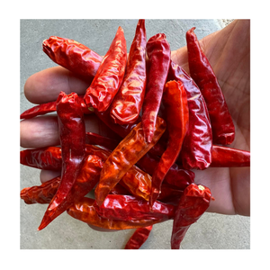 พริกแห้งแดดแบบเวียดนามพริกแดงทั้งเม็ดพริกแห้งคุณภาพส่งออกสำหรับอุตสาหกรรมการทำอาหารและอาหาร - Product Image 5