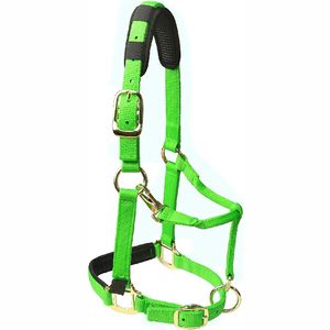 Vente en gros de licous de cheval personnalisés de qualité supérieure licou de haute qualité pour chevaux - Product Image 5