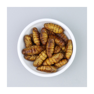 Ver à soie congelé Chrysalis Nourriture pour animaux de compagnie 1kg Pupes séchées dans un sac sec de stockage sans gluten pour les bovins - Product Image 5