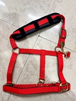 BLUHORSE BH-905 - Équipement équestre personnalisable - Lanière de cheval en nylon PP avec attaches en fer chromé haute résistance et durables