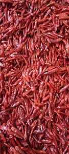Piment rouge séché à haute pungence, qualité d'exportation, poivre rouge naturel pour la vente en gros, commerce d'épices, marché mondial standard - Product Image 3