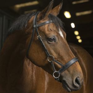 Bride de confort à traction latérale Bride de cheval en cuir véritable de haute qualité Bride de cheval de fabricant MEILLEUR cuir véritable de haute qualité - Product Image 3