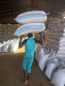 Graines de sésame à vendre + 27739729209 - Product Image 3