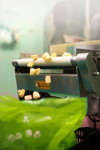 Trozos de piña congelados de primera calidad dulces, jugosos congelados instantáneos perfectos para batidos, jugos, postres y procesamiento industrial de alimentos - Product Image 5