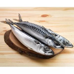 Alta calidad mariscos pescado entero caballa congelado Pacífico caballa pescado HGT para la venta - Product Image 2