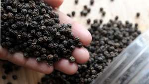 Pimienta Negra Seca Vietnamita en Polvo, Calidad Premium, Aroma Intenso, Certificación ISO 22000, 4% de Piperina para Especias de Cocina - Product Image 6