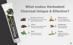Dentifrice au charbon de bois Herbodent avec charbon de bambou activé et herbes 100gm blanchissant naturel haleine fraîche et soins bucco-dentaires complets - Product Image 6