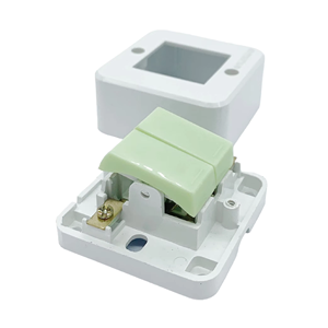 Interruptor doble OEM confiable OMINSU T2 con indicador luminoso Durable ABS 5A 250V Fábrica de Vietnam - Product Image 4