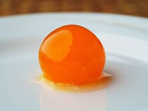 SALTED EGG YOLK / NATURAL FLAVOR / CLEANLY PREPARED / EXPORT QUALITY - Product Image 5