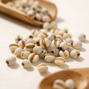 เมล็ดข้าวฟ่างคุณภาพสูง ยี่ห้อ Job Tears บินห์ถวน เวียดนาม อายุการเก็บรักษา 12 เดือน จัดเก็บแบบแห้ง รับผลิตแบบ OEM รุ่น VSF_CS_002 ขายส่งสำหรับการเกษตร - Product Image 1