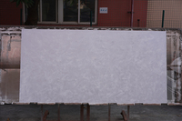Panel de Pared Interior Decorativo Moderno Dorado Impermeable con Acabado Efecto Luz Diurna para Paredes Decorativas, Barras y Espacios Comerciales
