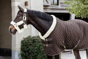New Design Quilted Winter Equestrian Horse Rug Cotton Lining and Leg Straps Wholesale <b>Fabric</b> Shell - Product Image 3