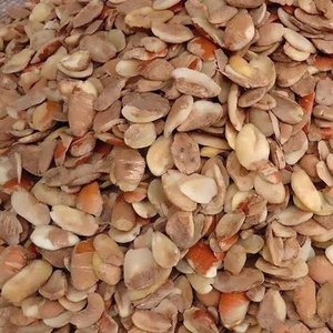 Nueces de Ogbono de Primera Calidad, Naturales, 8 kg, Envasadas al Vacío, Ligeras, Blancas, Procesadas, Bajo Precio, Mejor Calidad, Frescas, 1 Año de Duración - Product Image 2