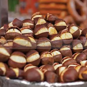 Châtaigne fraîche exportation Vietnam trouvera le goût très différent, doux et plus gras que toute autre châtaigne cultivée ailleurs - Product Image 5