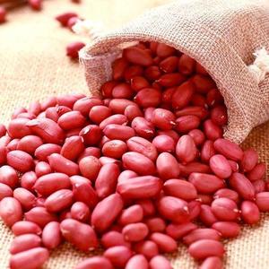 Arachides grillées de qualité supérieure, blanchies, fraîches, enrobées de noix de Kaju aromatisées, avec coque séchée, qualité alimentaire, arachides brutes transformées - Product Image 3