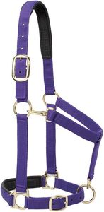ODM ÉQUINE CHEVAL NYLON/ PP RACCORDS PERSONNALISÉS TOUTES LES TAILLES DIFFÉRENTES COULEURS EN VRAC ÉQUILLE CHEVAL ANGLAIS SELLE COLIS DE L'INDE - Product Image 3
