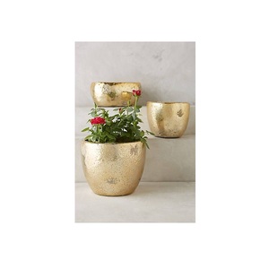 Maceta Decorativa Metálica de Gran Capacidad 2026, Ideal para Plantar Árboles Pequeños o Plantas Altas en Jardines, Paisajes e Interiores - Product Image 4