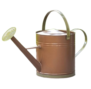 Arrosoir métallique design gravé pour le jardinage domestique Arrosoir en métal très durable pour plantes et arbres - Product Image 2