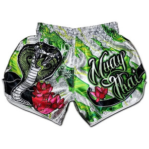 Pantalones cortos de boxeo Fightwear personalizados, bañadores, sublimación diseña tu propia, ropa de artes marciales de Karate, pantalones cortos Muaytahi OEM - Product Image 6