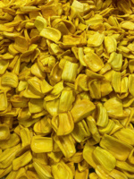 EXPAD Zoete Bulk Vacuümverpakte Geschenkverpakking In pekel geconserveerd 100% Puur Natuurlijk Gemengd Knapperig Gedroogd Gesneden Jackfruit 1kg