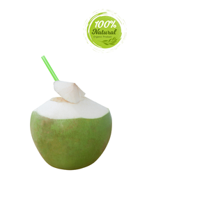 มะพร้าวสดที่มีรสชาติของเวียดนามผลิตภัณฑ์ทางการเกษตร - Product Image 3